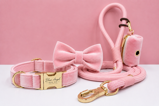 Velvet Collar & Leash Set with Bow Tie
