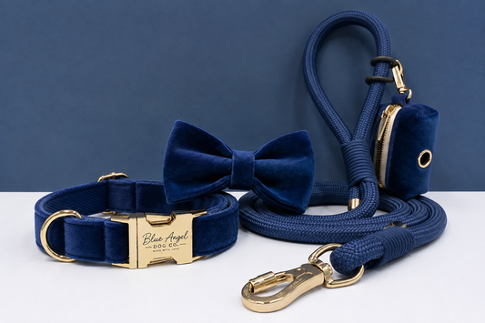 Velvet Collar & Leash Set with Bow Tie